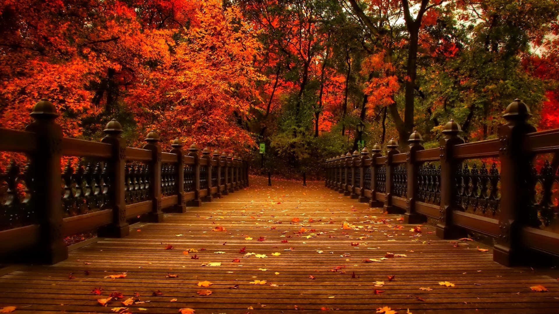 November Fall Wallpaper