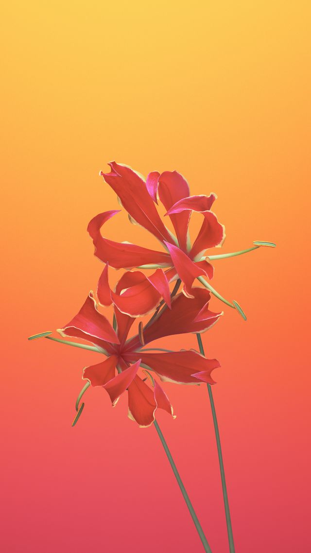 Wallpaper iPhone X Ios11 Flower Retina 4k