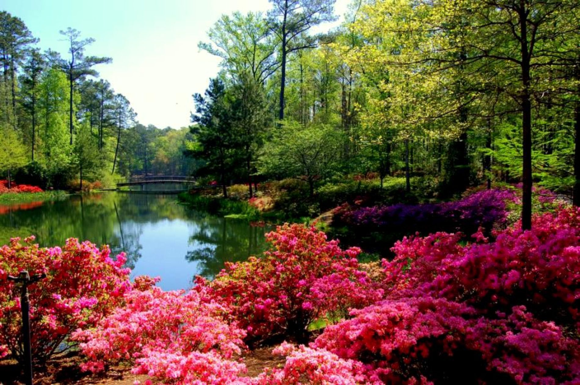 Flowers Garden Gardens Georgia Lake Picture Red Leaves Trees