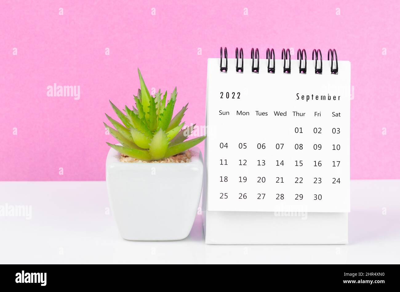The September Desk Calendar With Plant Pot On Pink Background