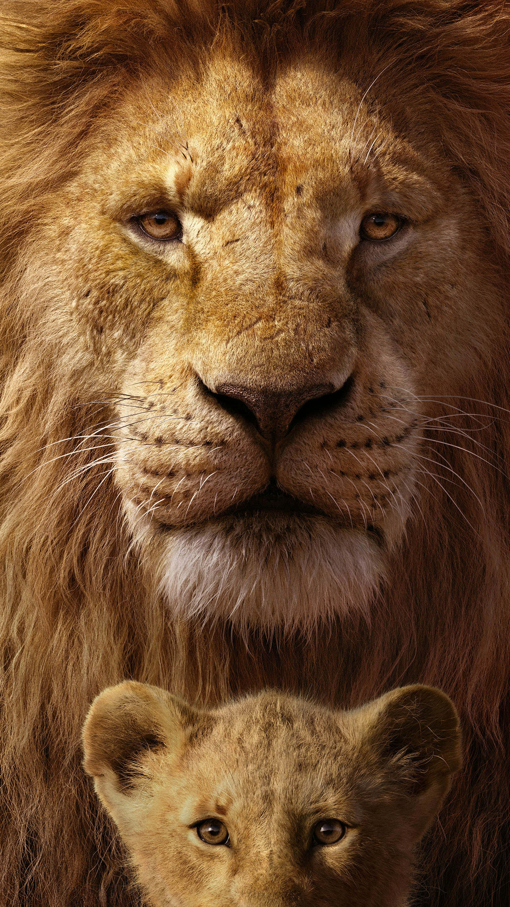 Cute Lion King Wallpaper