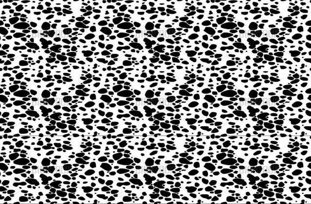 Dalmatian Pattern Wallpaper Best Desktop HD