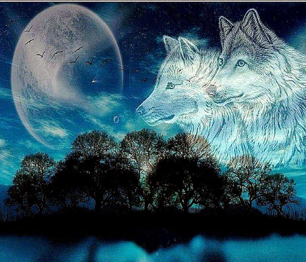 Wolf Moon Wallpaper Hq Desktop
