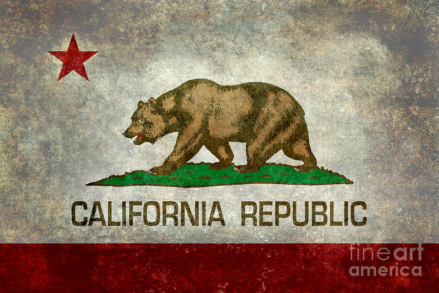 State Flag Of California By Bruce Stanfield