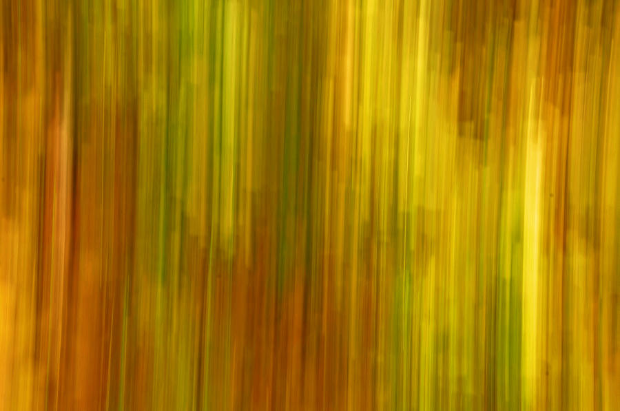 Abstract Nature Background Photograph By Gry Thunes