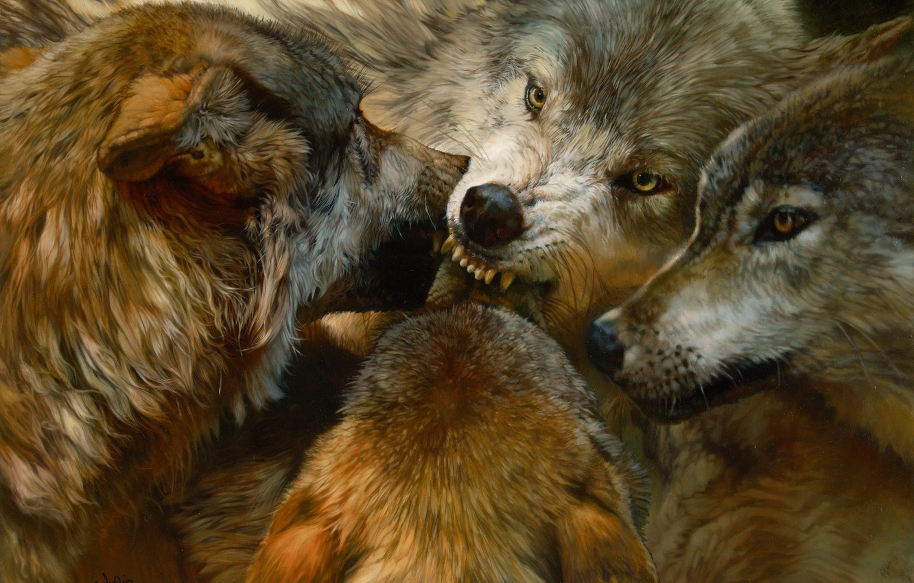 Wallpaper Animals Realism Predators Pack Wolves Painting