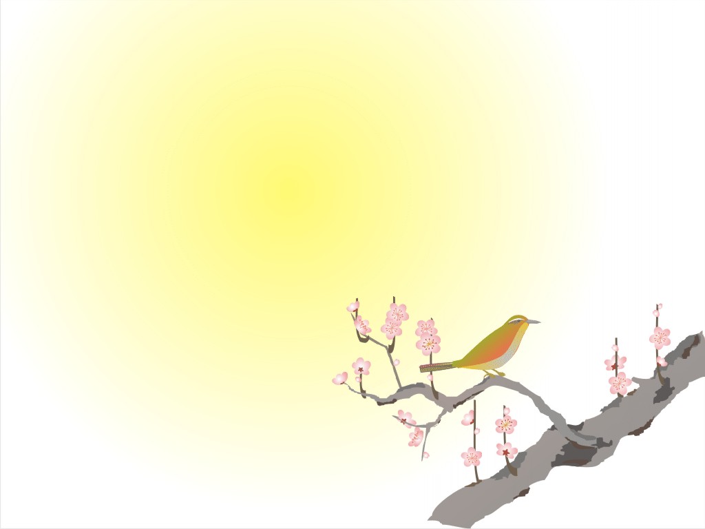 Beauty Bird Background For Powerpoint Animal Ppt