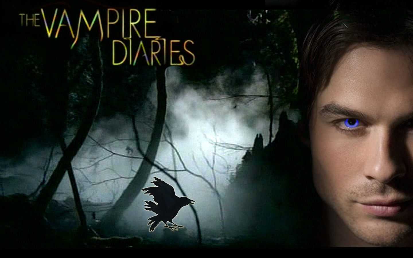 DAMON   The Vampire Diaries TV Show Wallpaper 34282393 1440x900