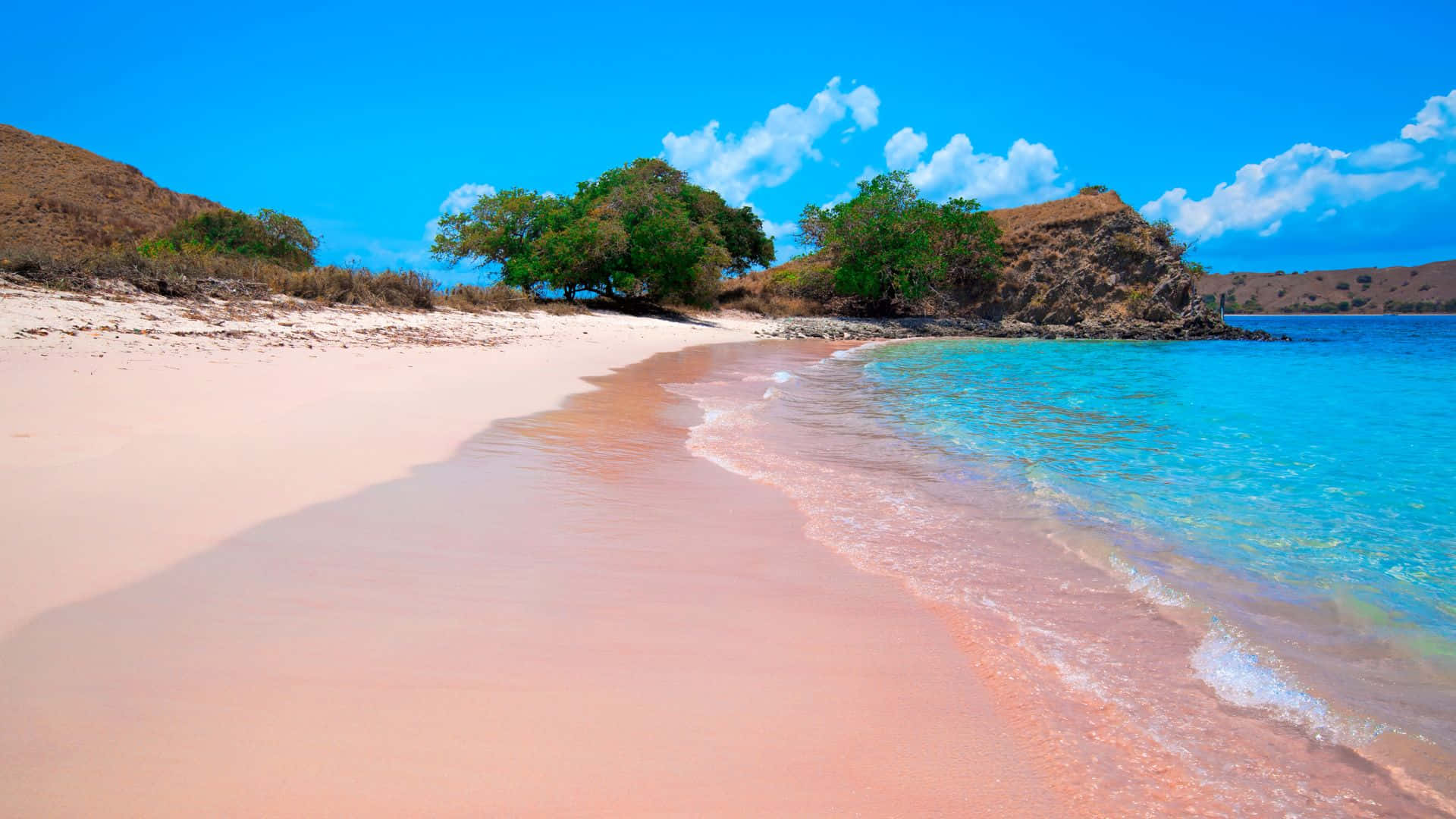 Pink Beach Wallpaper