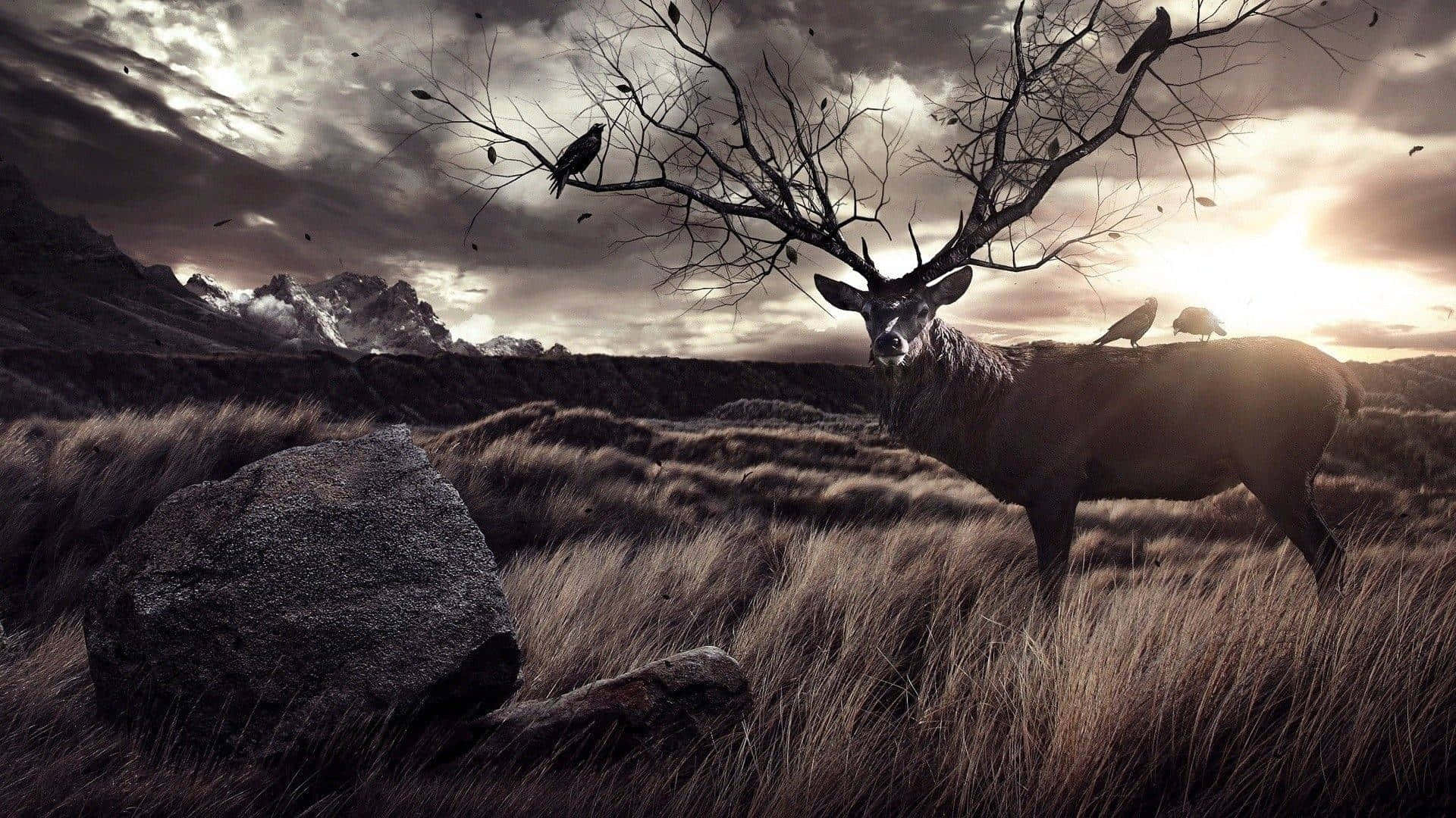 Deer Desktop Wallpaper