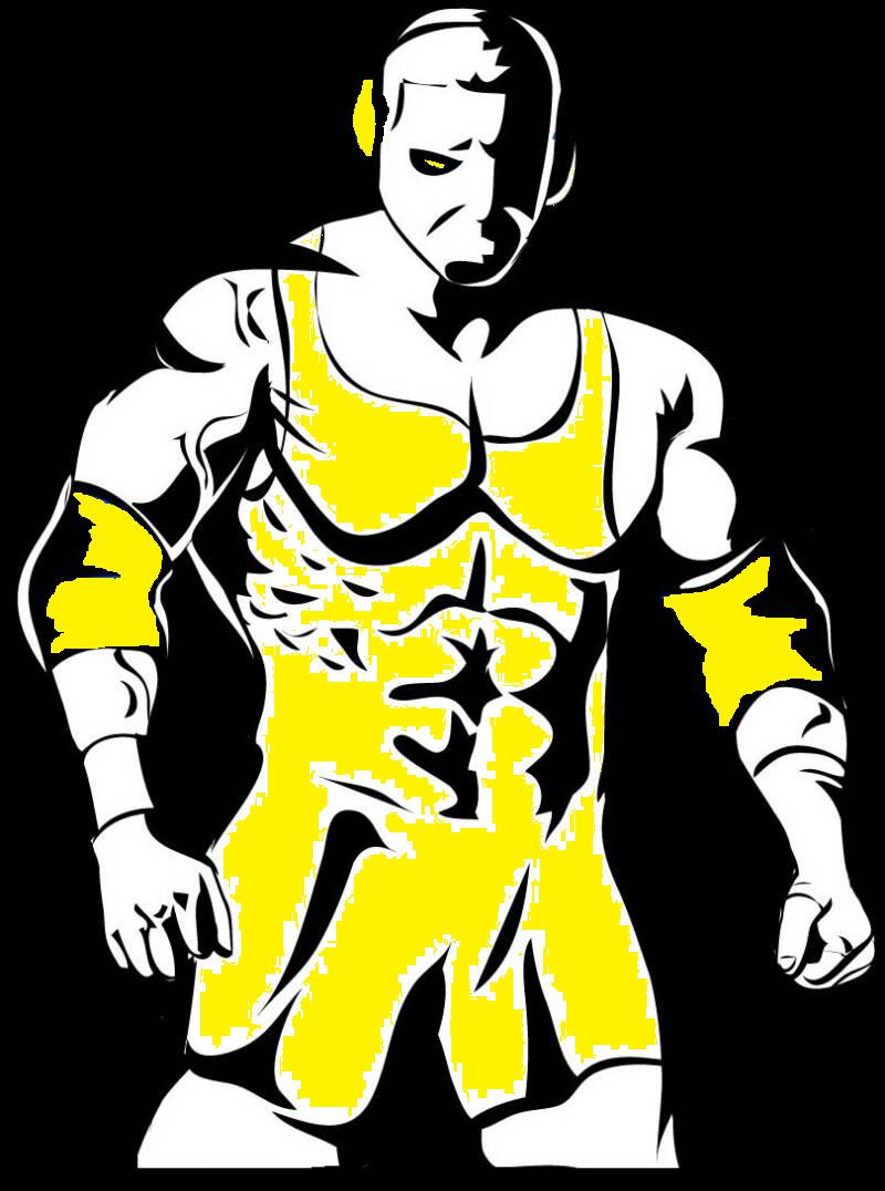 Usa Wrestling Logo Pictures