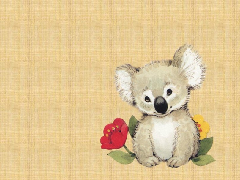 Cute Wallpaper Koala gambar ke 17