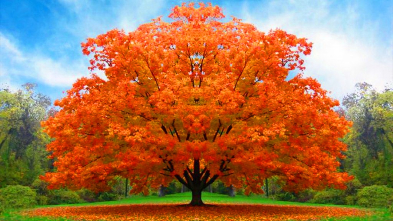 Fall Wallpaper Nature Pixel HD