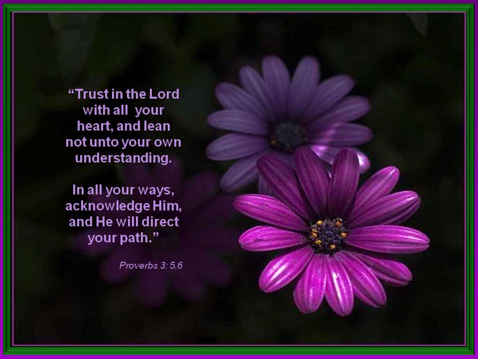 Card Wallpaper Trust In The Lord Proverbs