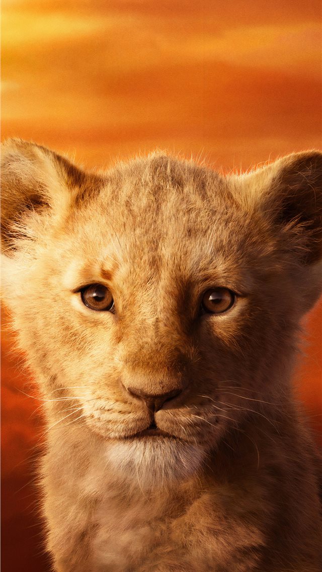 Lion iPhone HD Wallpaper