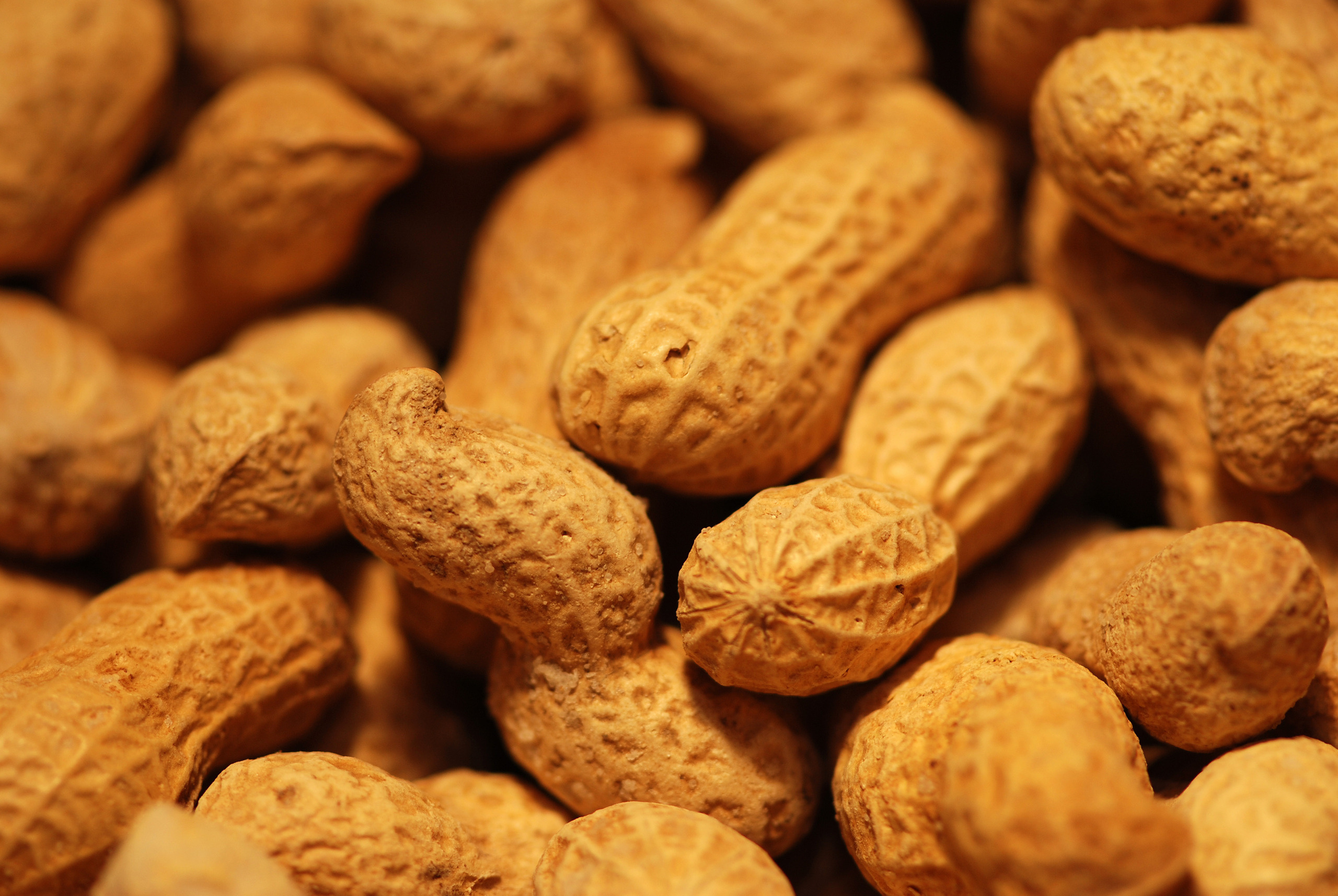 Almonds Nuts Core Wallpaper  2160x3840