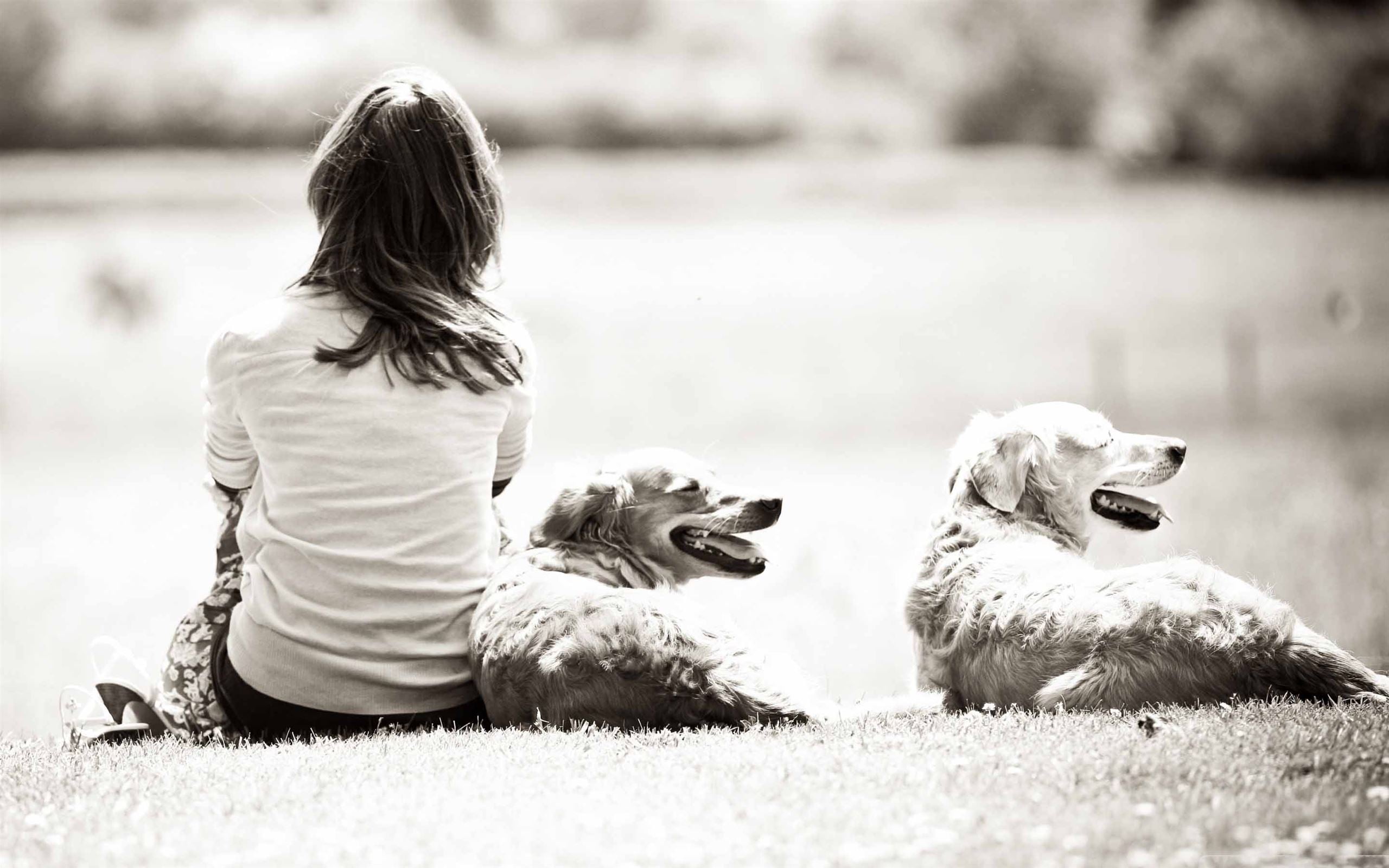 Girl With Dogs Macbook Air Wallpaper