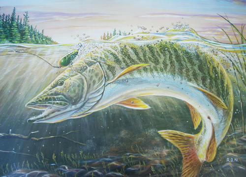 Muskie Paintings Image Search Results