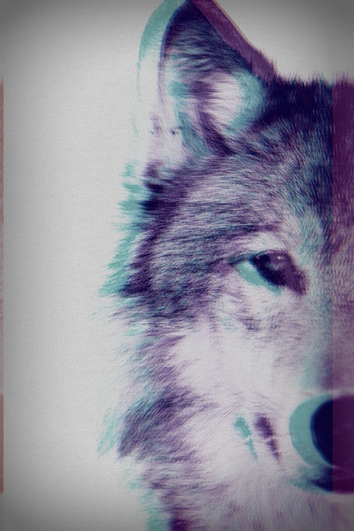Mine Wolf M Horror Grunge Edit Animal 3d Wild Effect Soft