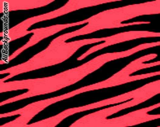 Colorful Zebra Print Background Myspace