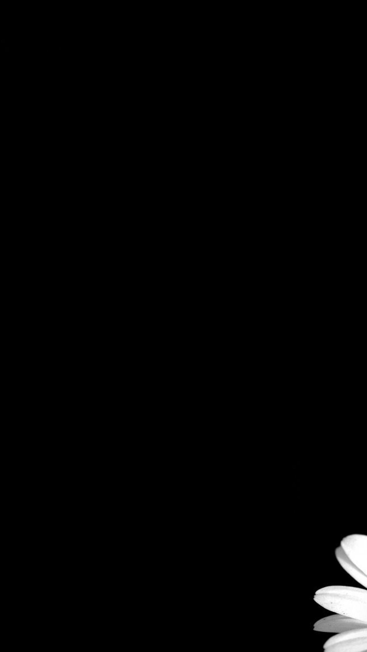 Free download Black background HD Wallpapers Desktop Backgrounds  [1242x2208] for your Desktop, Mobile & Tablet | Explore 76+ Black  Backgrounds | Black Cheetah Background, Black Swan Wallpaper, 3d Black  Wallpaper