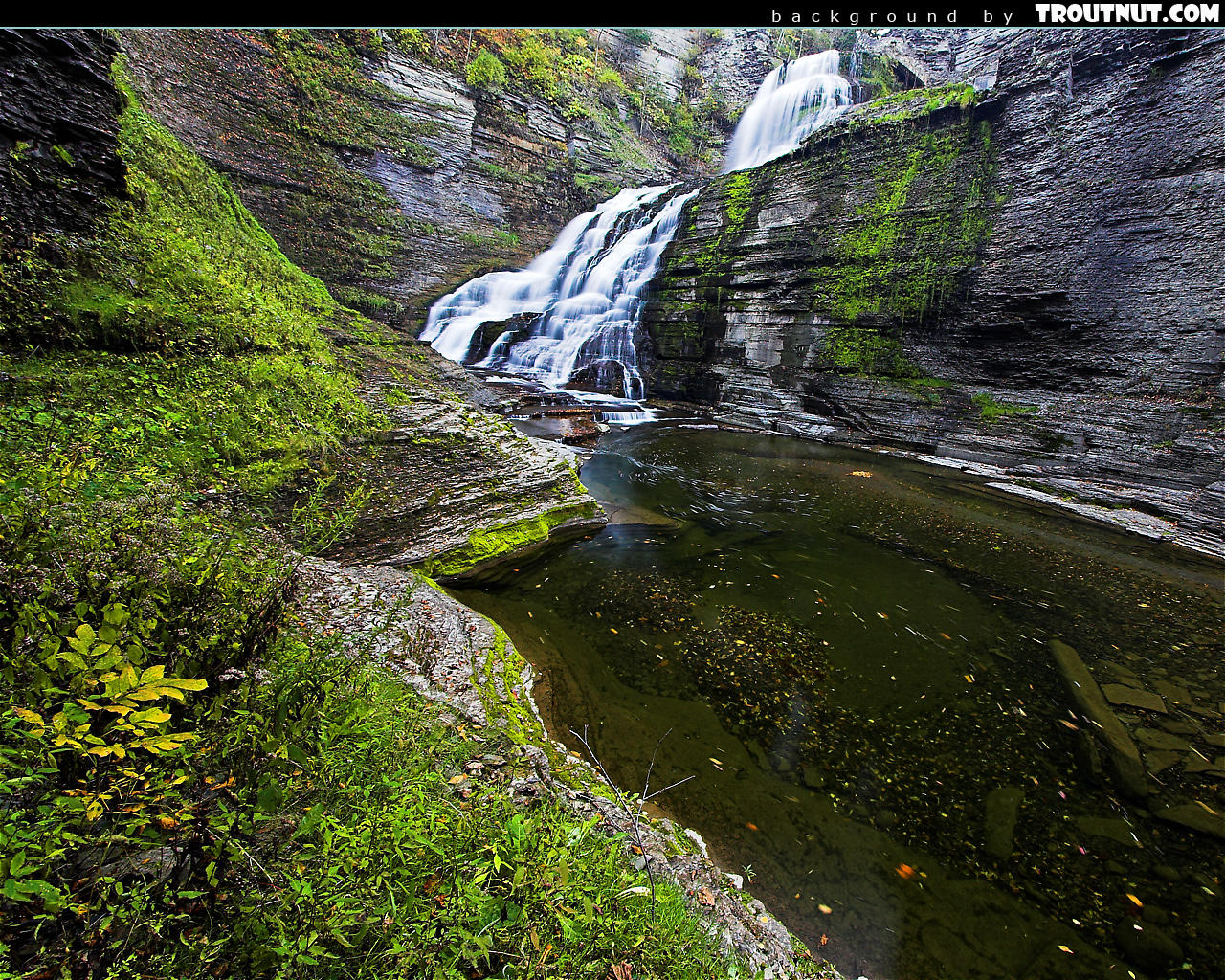 Desktop Background Hi Res Nature Photography