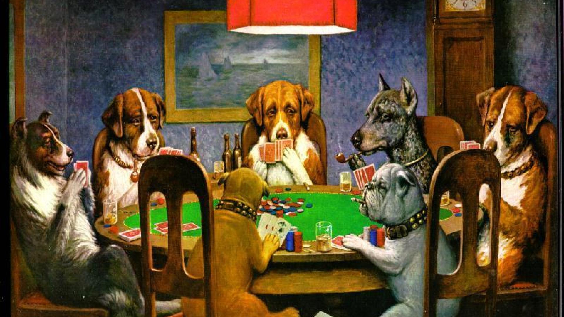 Dogs Playing Poker High Quality And Resolution Wallpaper