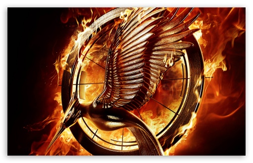 The Hunger Games Catching Fire HD Wallpaper For Standard