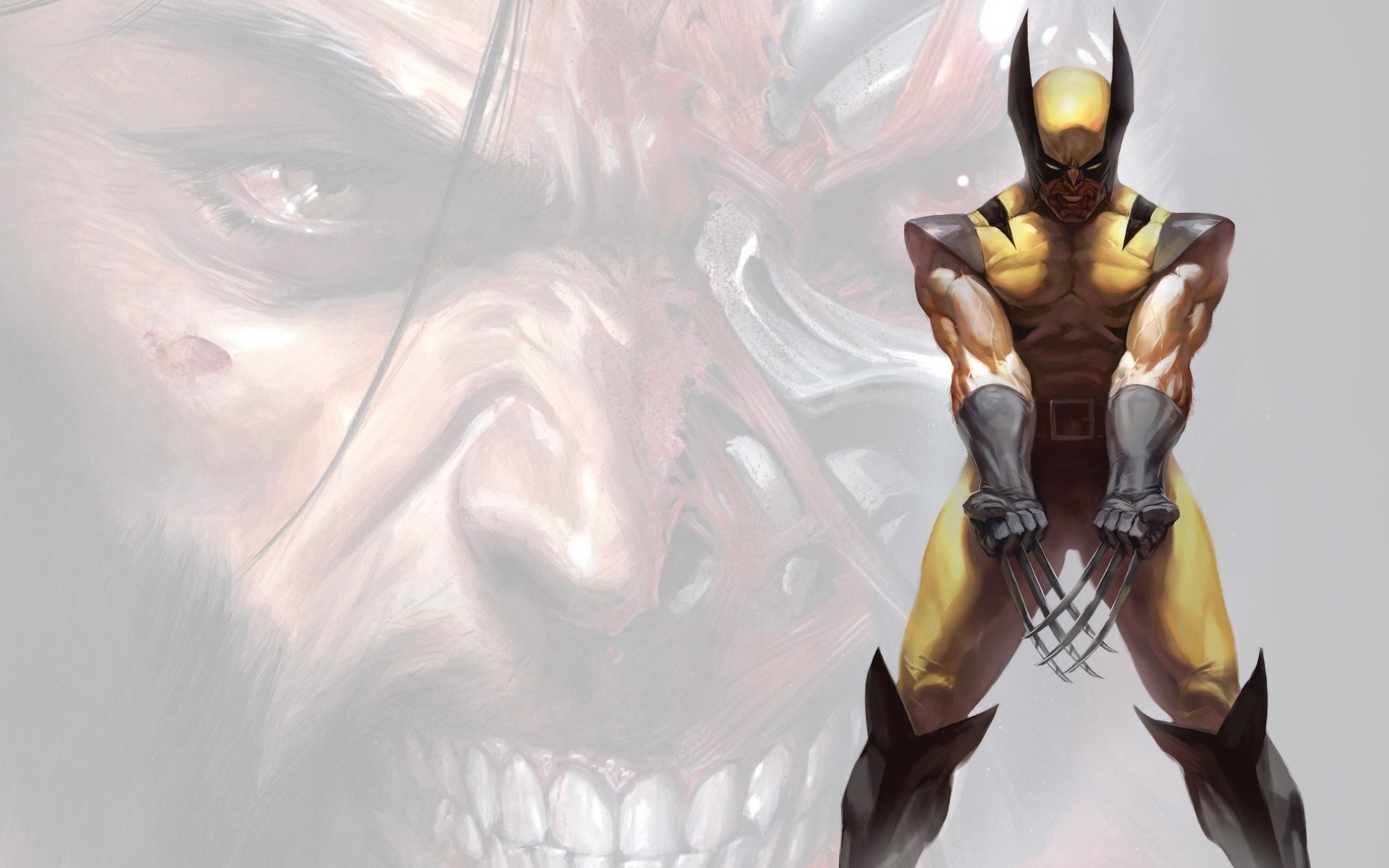 Marvel Wolverine Wallpaper HD