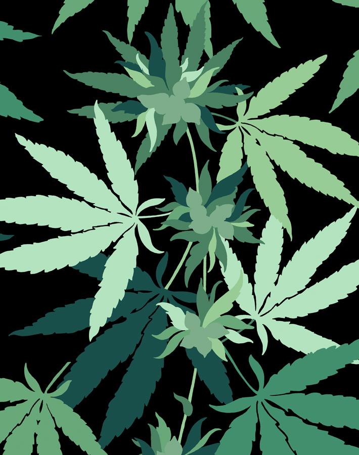 Cannabis Wallpaper Onyx Wallshoppe