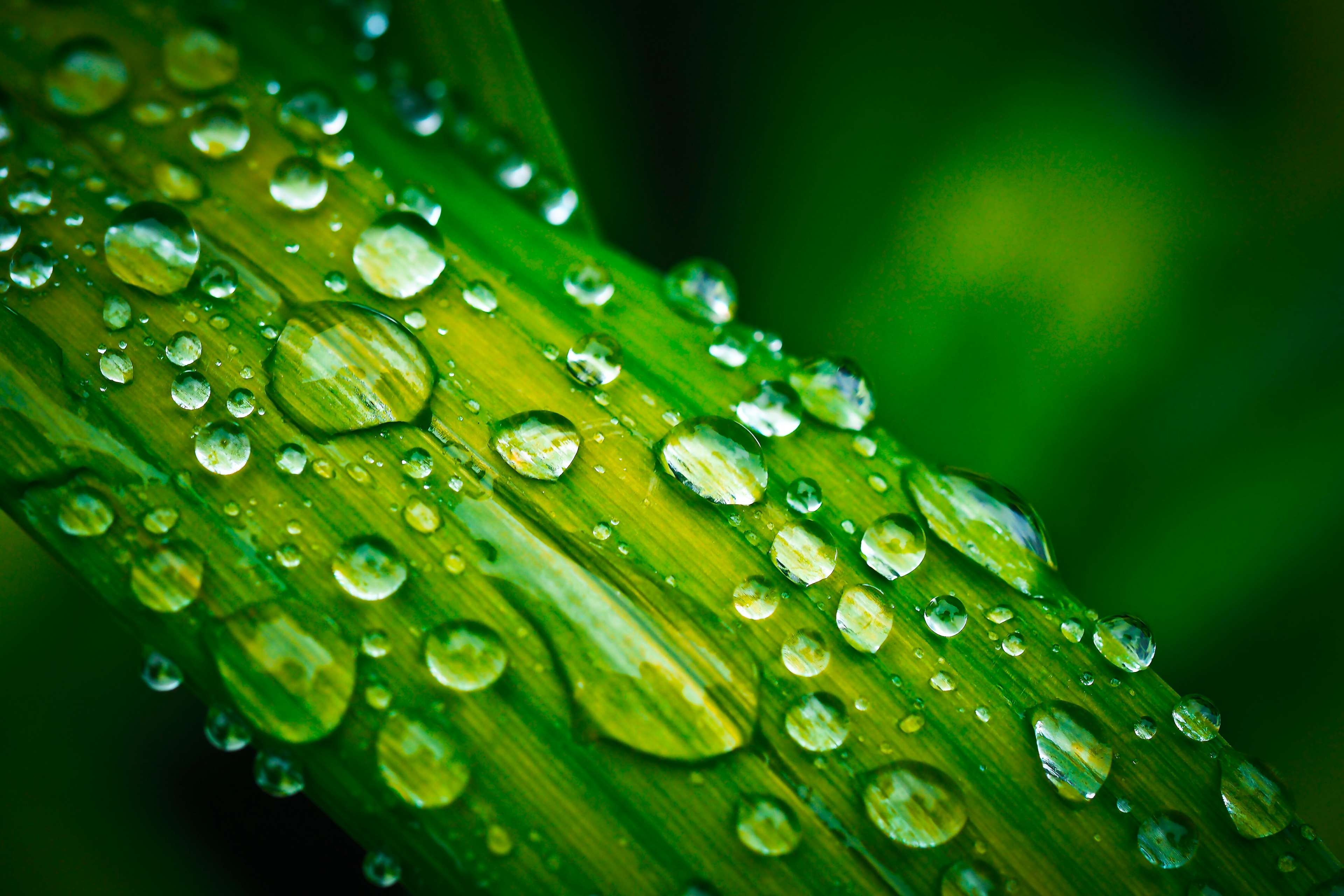 Clean Close Up Drop Of Water Droplet Liquid Macro Ripple Wallpaper