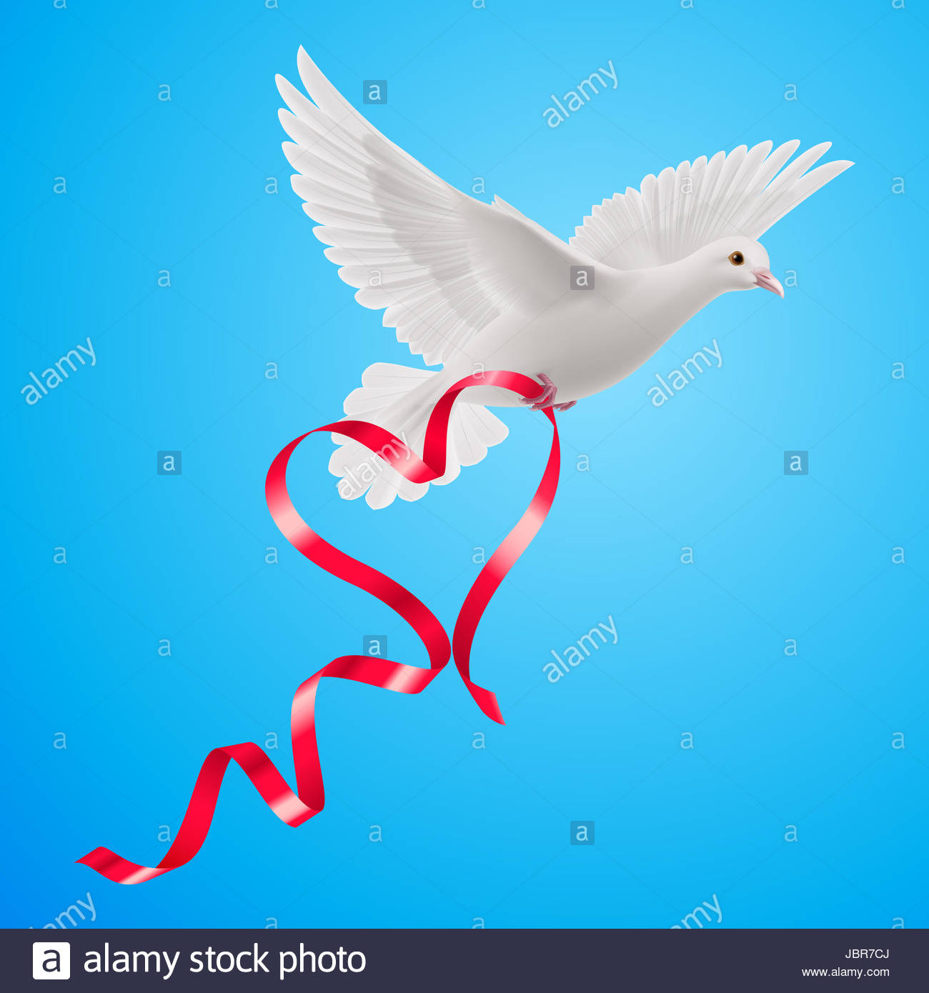 White Dove With Red Ribbon In The Blue Background Stock Photo