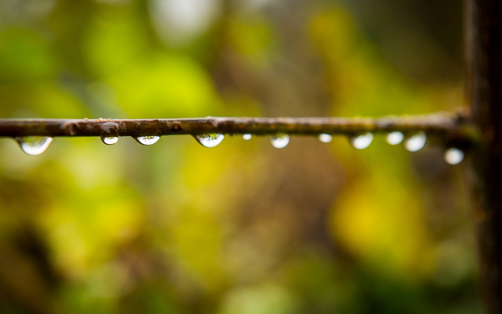 Rain HD Wallpaper For Desktop One Pictures Background
