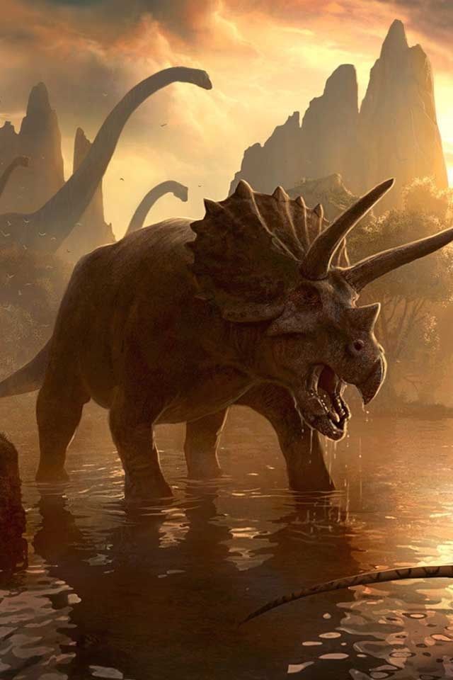 Triceratops Ancient Animals Dinosaur Jurassic World Wallpaper