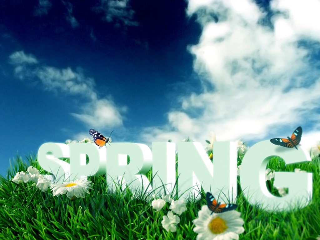 hd funny abstract spring flower 3d wallpaper butterfly HQ WALLPAPER