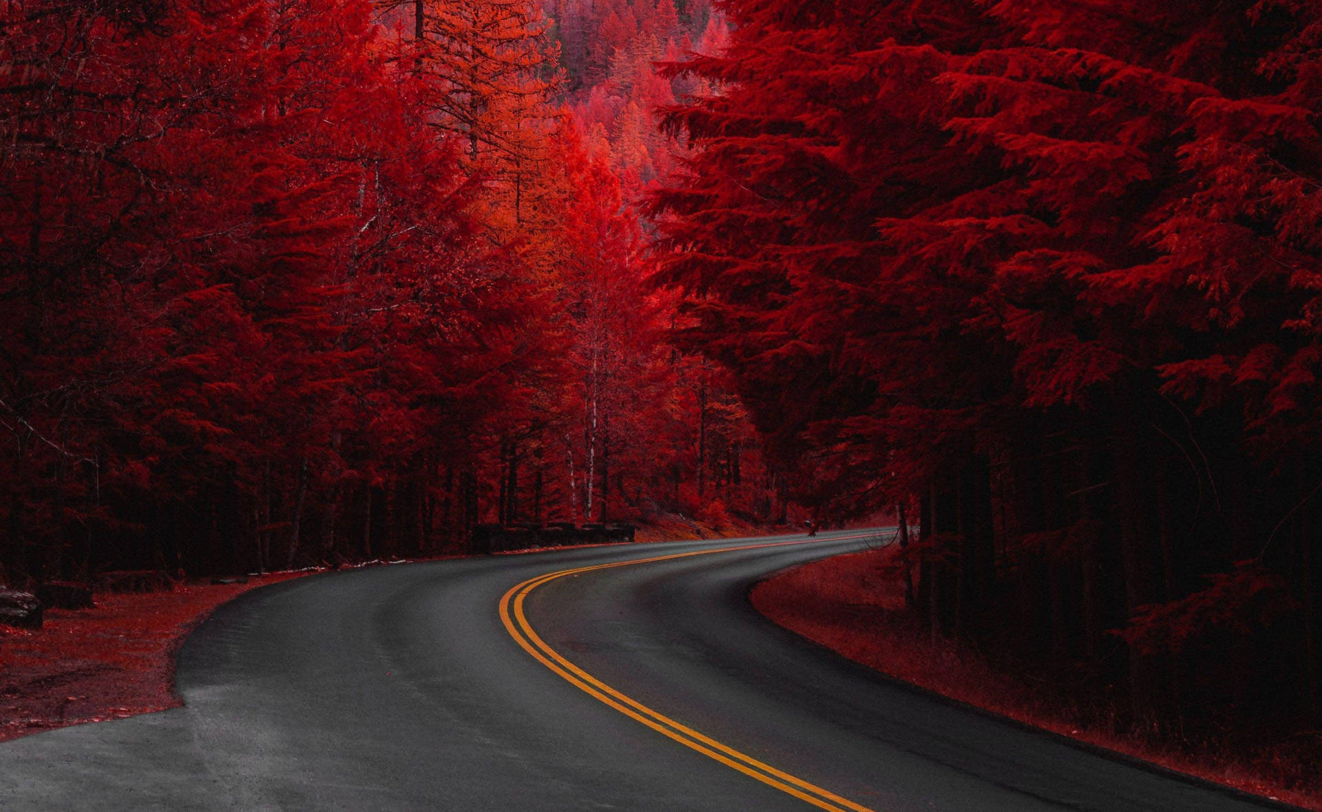 Cute Fall Aesthetic Wallpaper