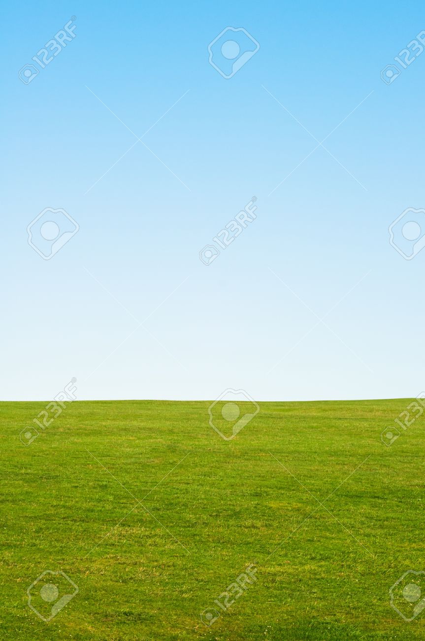 Green Grass And Blue Sky Background Providing Copy Space