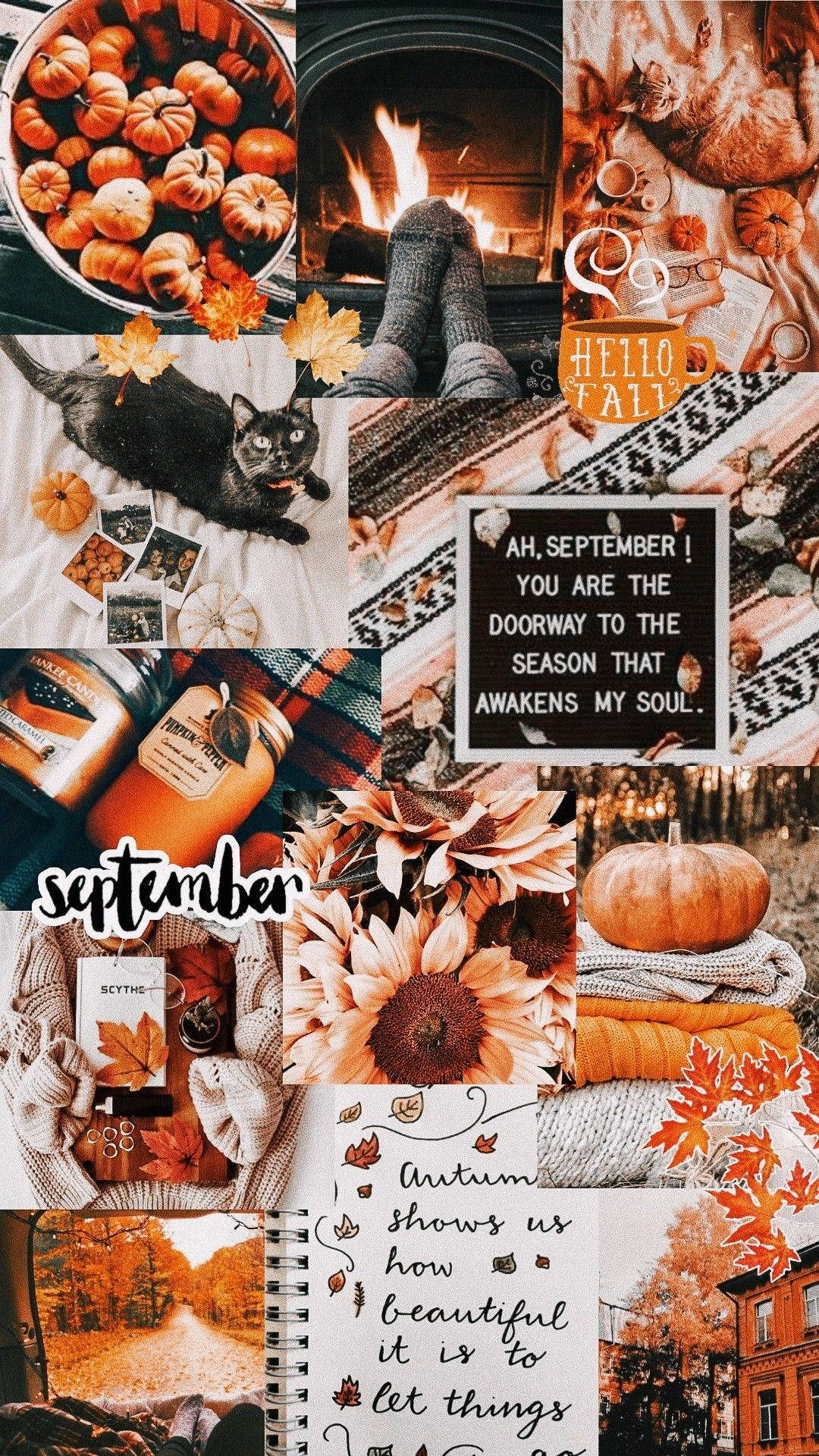 Aesthetic Orange Fall iPhone Collage Wallpaper