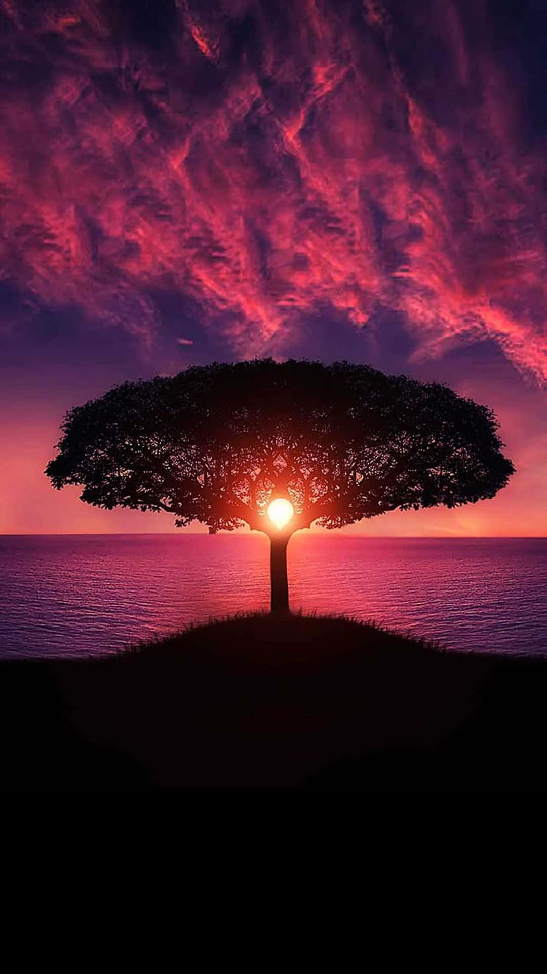 Colorful 4k Phone Wallpaper
