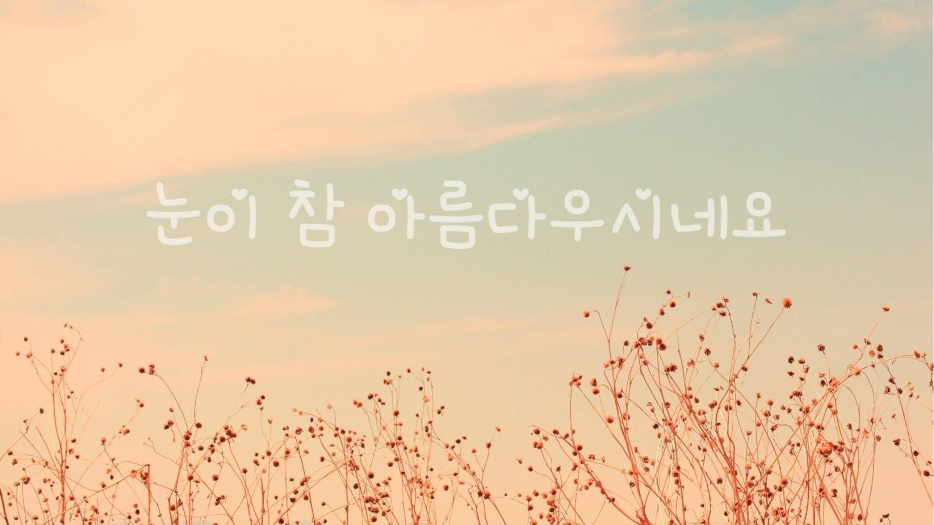 Korean Aesthetic Desktop Wallpaper
