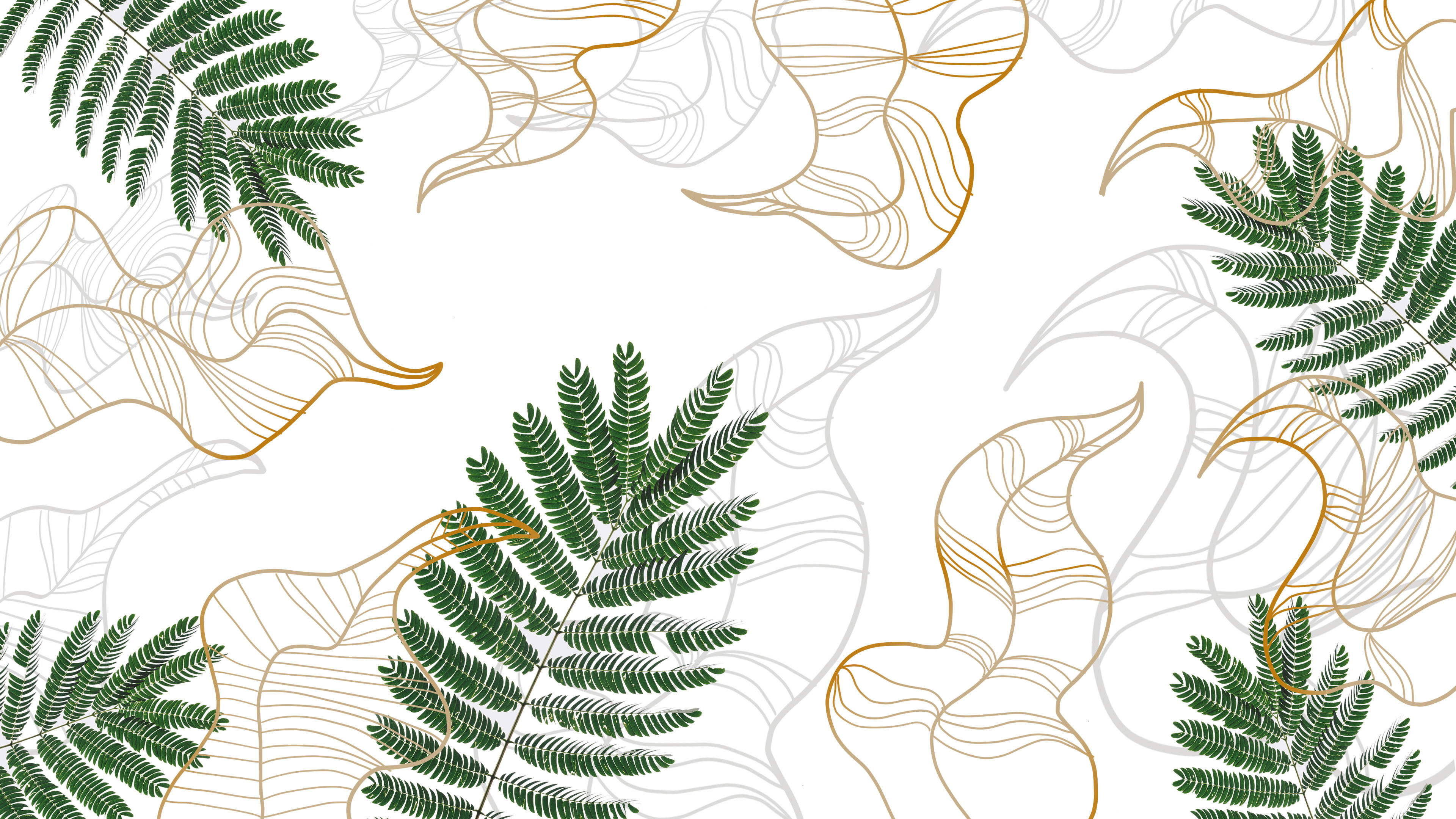 Minimalist Plant Wallpaper