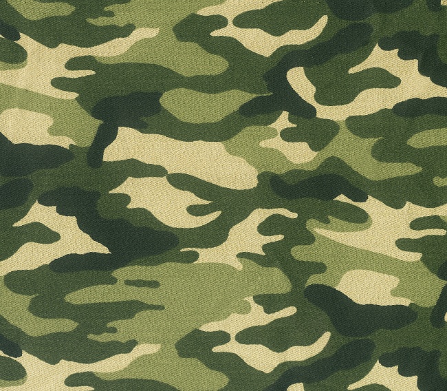 Camouflage Green Army Background Color Cloth