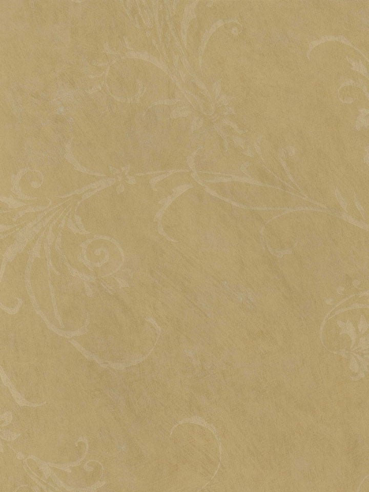 Light Brown Rice Paper Scroll Wallpaper   Textures Wallpaper