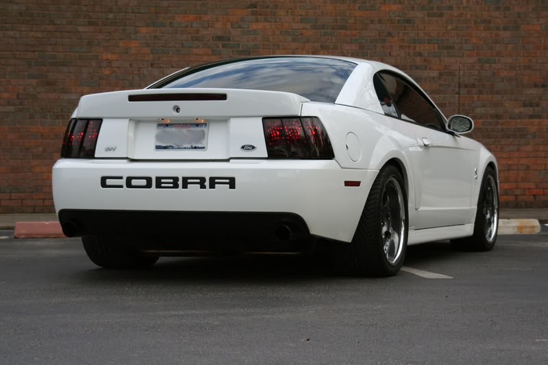Rear Mustang Cobra Terminator Performance Parts