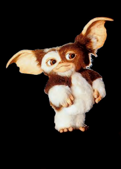 Gizmo Image Wallpaper And Background Photos