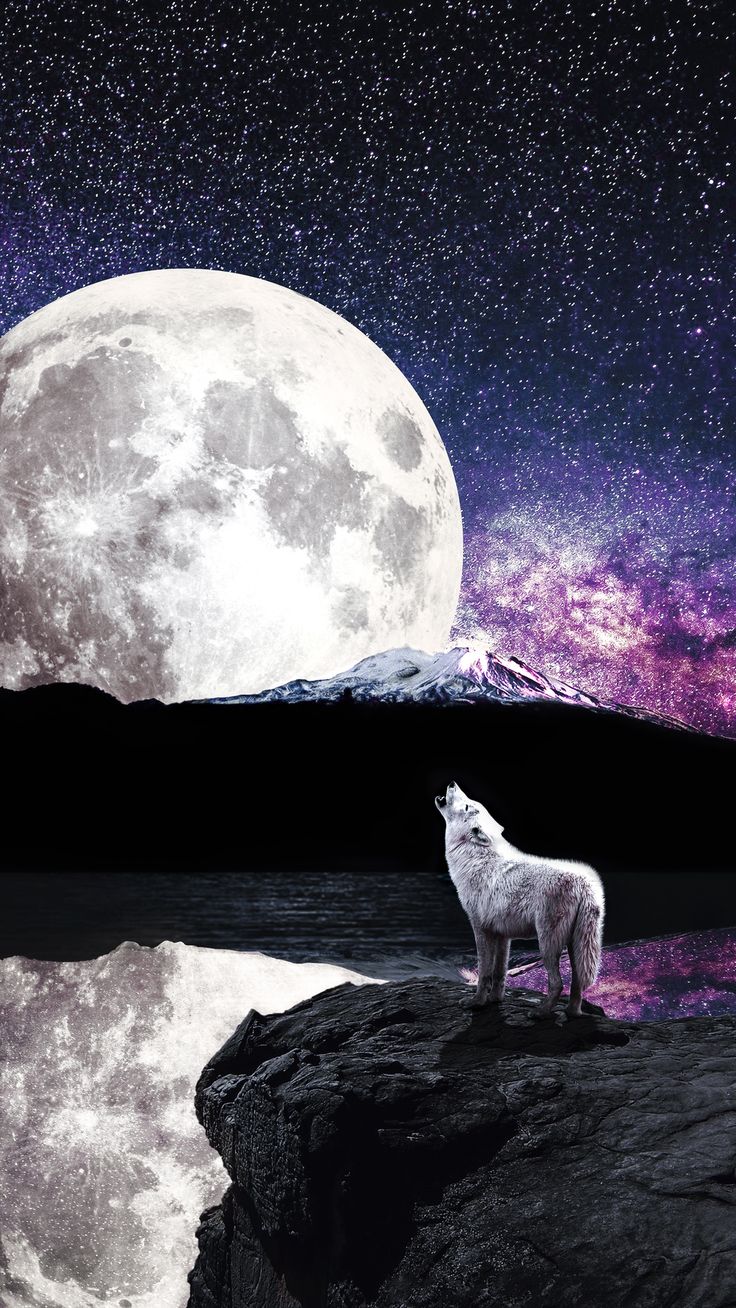 Wolf Moon River In 1080x1920 Resolution Wolf howling at moon