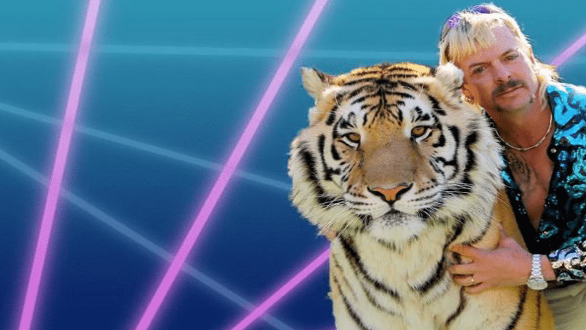 Funny Zoom Background Wallpaper