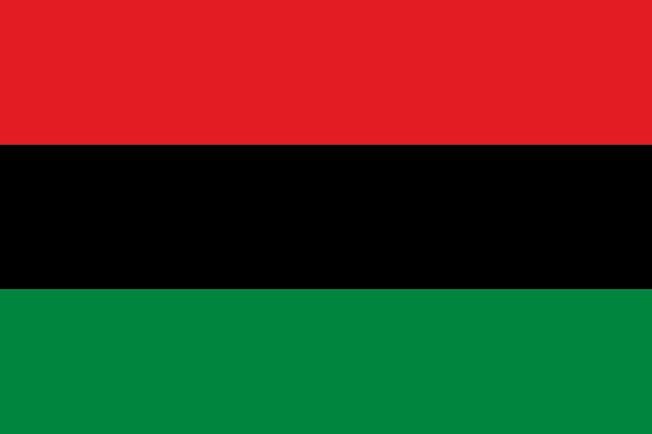 Things About The Black Liberation Flag You May Not Know