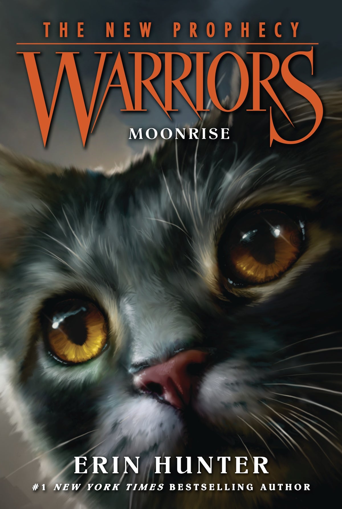 Warrior Cats Book Covers Wallpaper