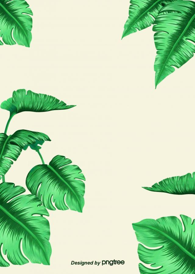 Simple Background Of Green Tropical Plants Wallpaper Image For